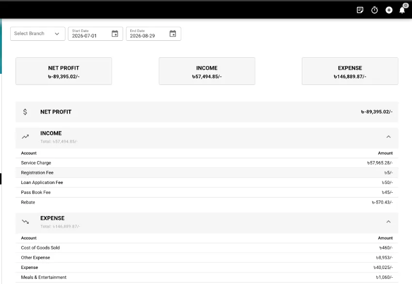 PennyPerfect Income Statement